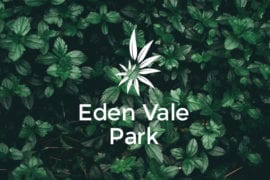 Progress Update at Eden Vale Park