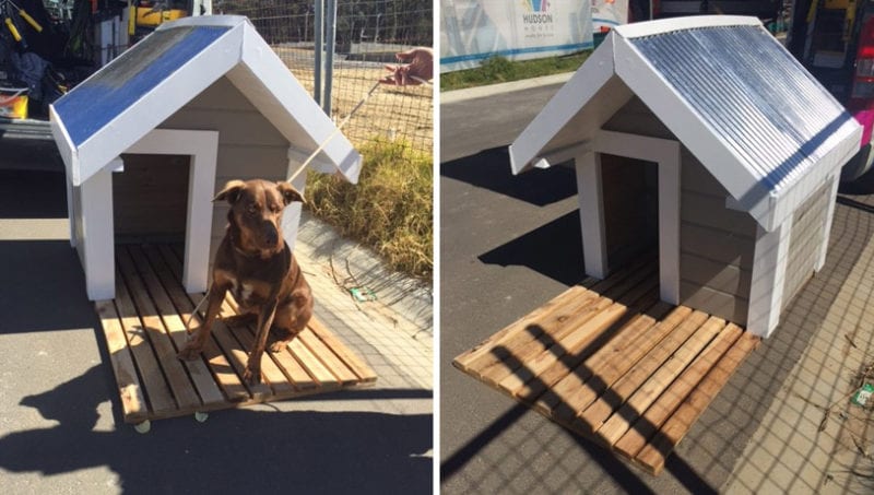 HIA People Choice Dog Kennel Challenge